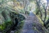 acequia-real-tercio-74