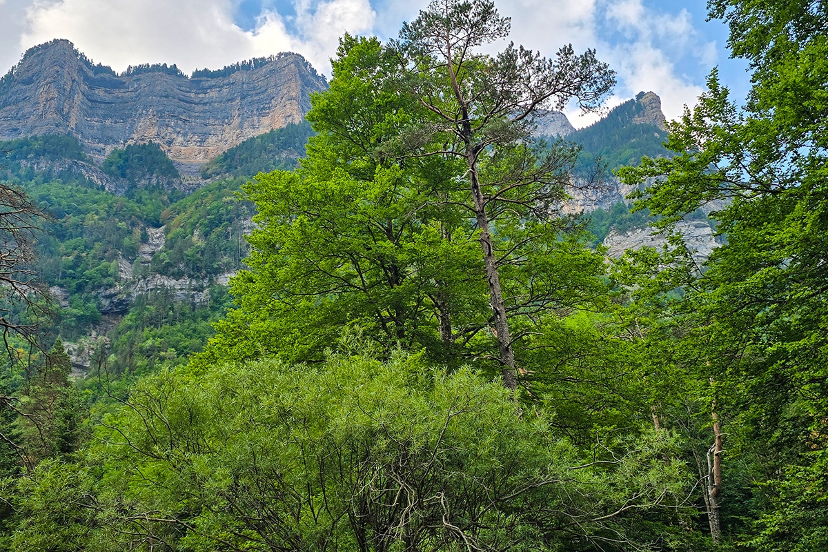 Pirineos_Ordesa_Monte_Perdido22