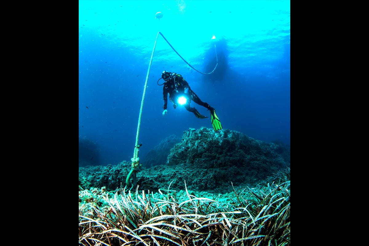 pradera-posidonia-boya foto: Junta Andalucía