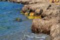 posidonia-arrivazos2