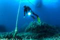 pradera-posidonia-boya foto: Junta Andalucía