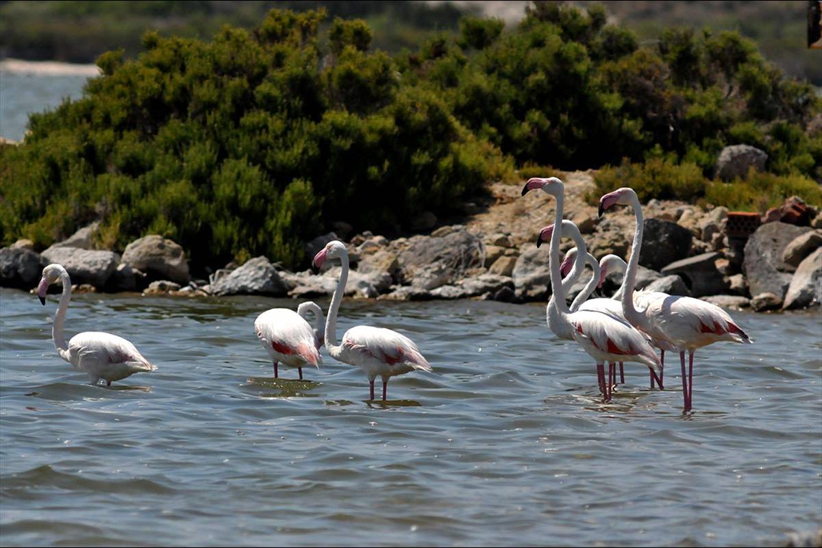 punta-entinas-fotogaleria09