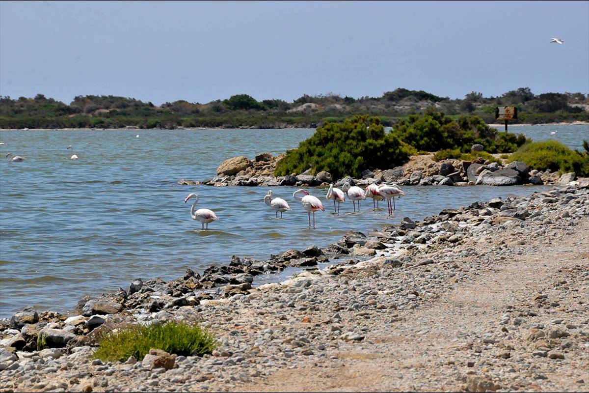 punta-entinas-fotogaleria10