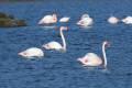 punta-entinas-fotogaleria05