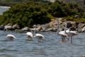 punta-entinas-fotogaleria09