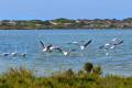 punta-entinas-fotogaleria22