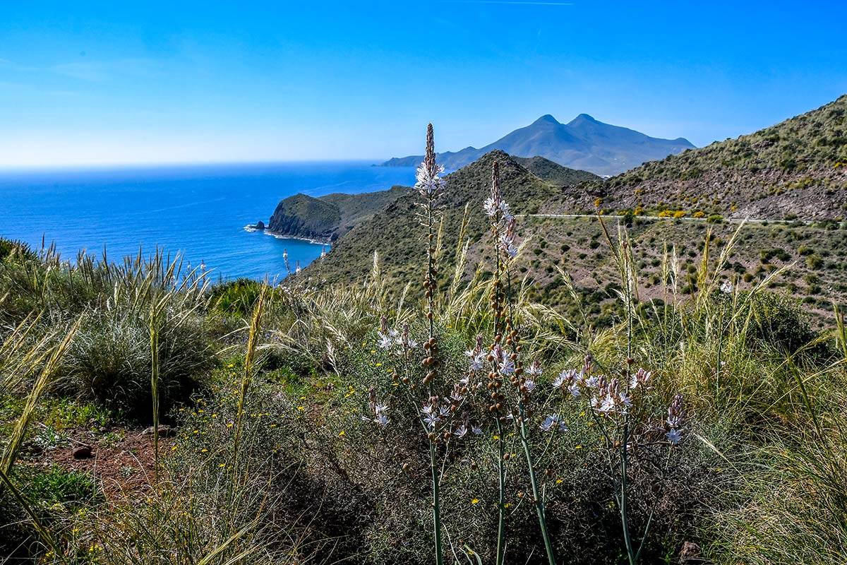  Mirador de la Amatista