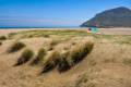El Playazo