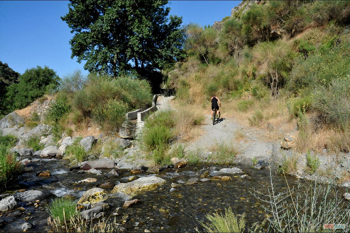 RÍO TORRENTE