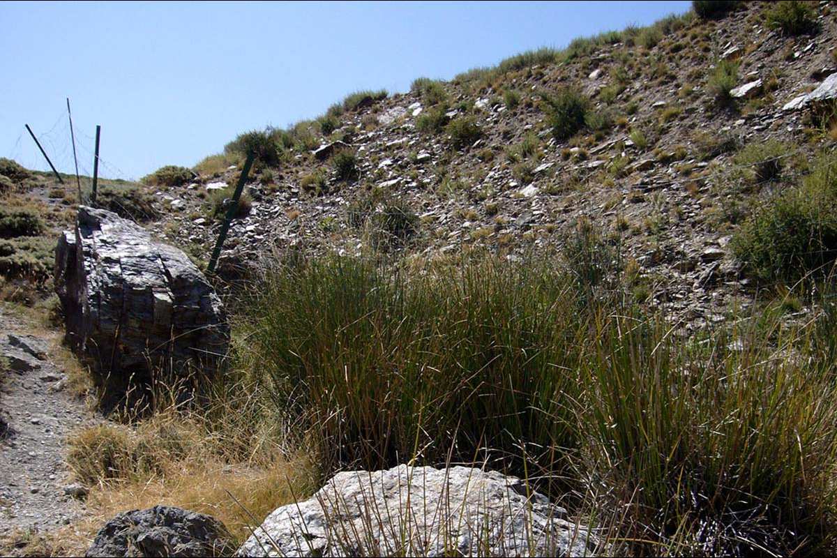 Tierras silíceasvertidas procedentes de la estación de esquí