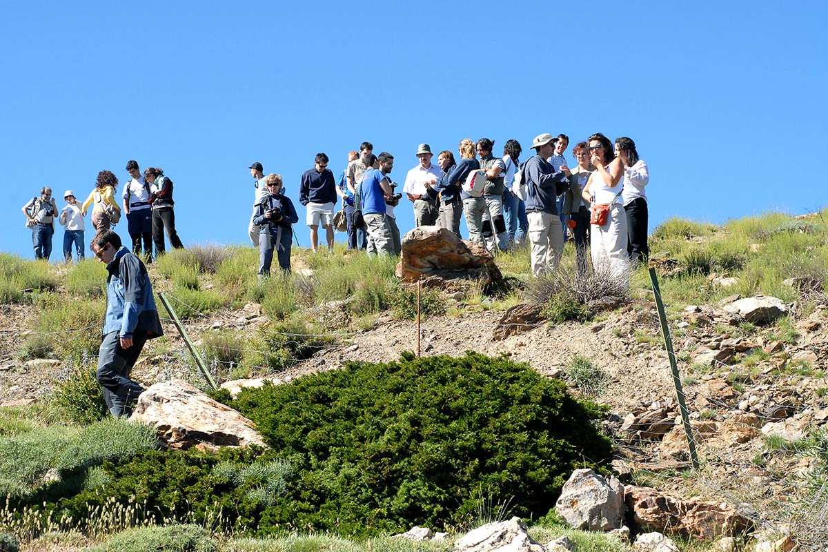 El Collado de la Sabina es uno de los lugares donde se dan lecciones prácticas de flora de Sierra Nevada.