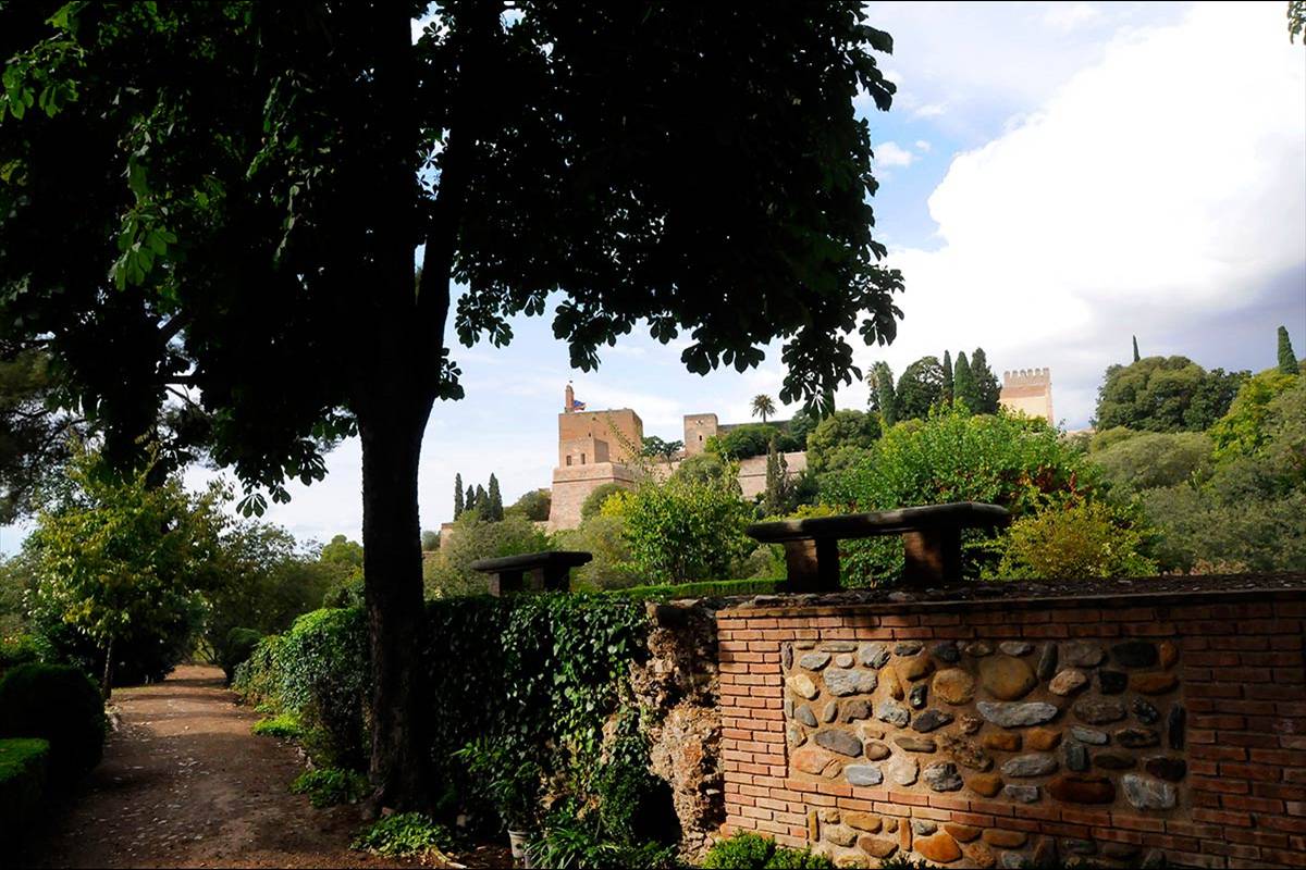 alhambra-sapo-partero-betico-05