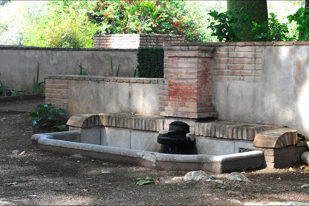 alhambra-sapo-partero-betico-07115
