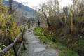 Sendero_La_Pavilla-06