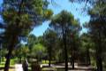 sierra-baza-sendero-narvaez-74_stitch