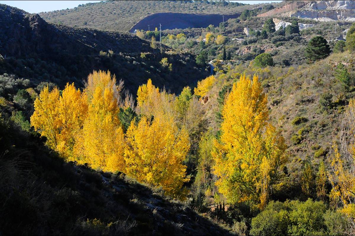 darronacimientosendero003