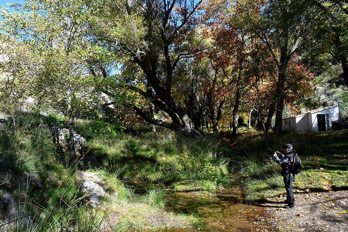 darronacimientosendero011