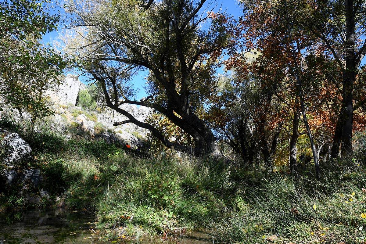 darronacimientosendero014