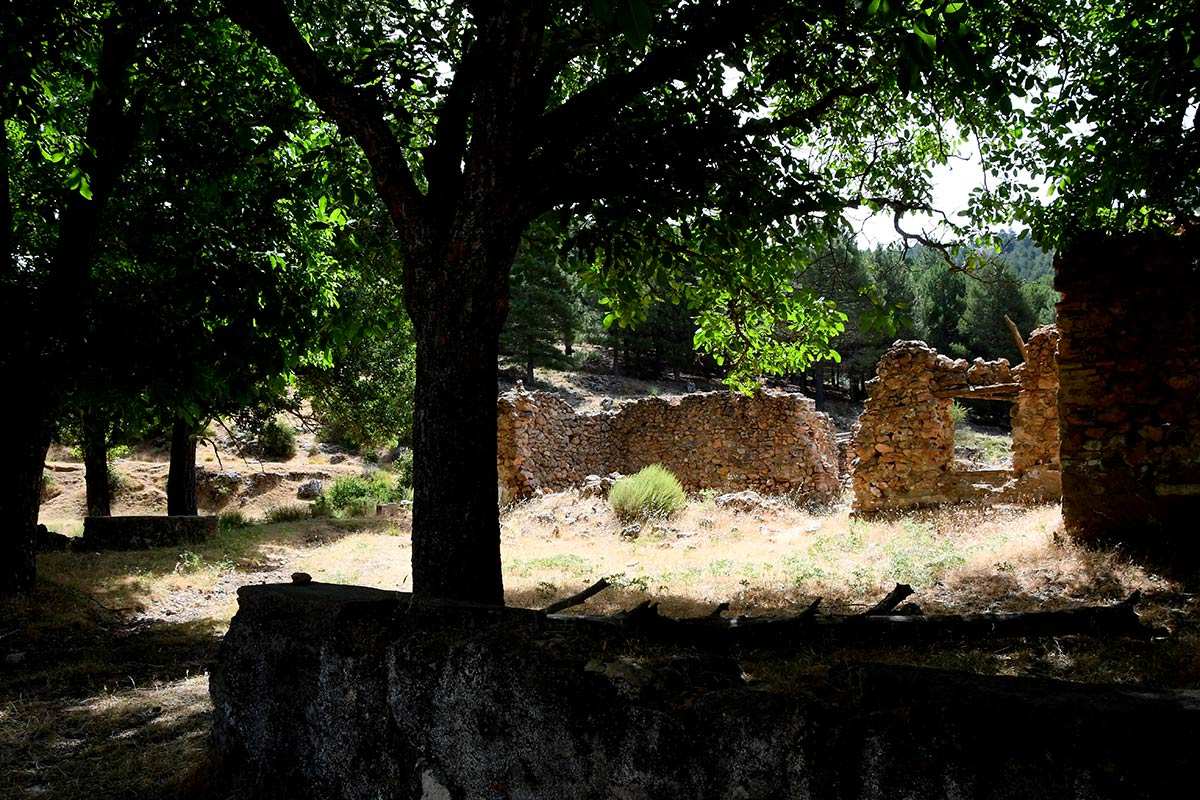 senderolasminas01