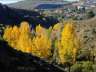 darronacimientosendero003