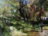 darronacimientosendero011