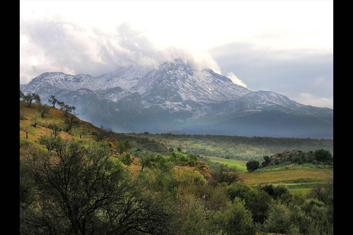 Sierra_de_las_Nieves-011
