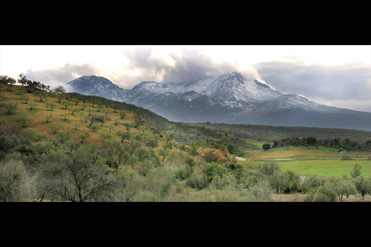 Sierra_de_las_Nieves-012
