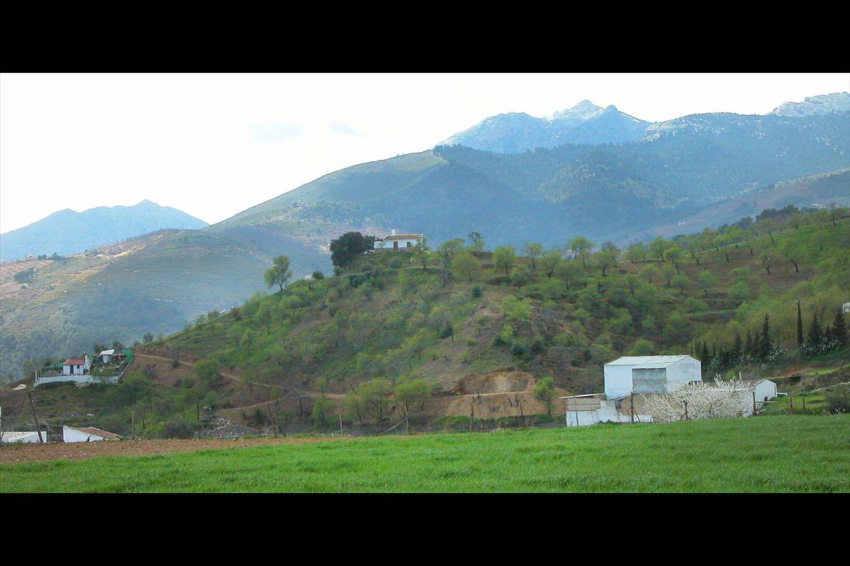 Sierra_de_las_Nieves-014
