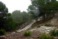 Sierra_de_las_Nieves-005