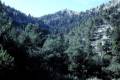 Sierra_de_las_Nieves-007