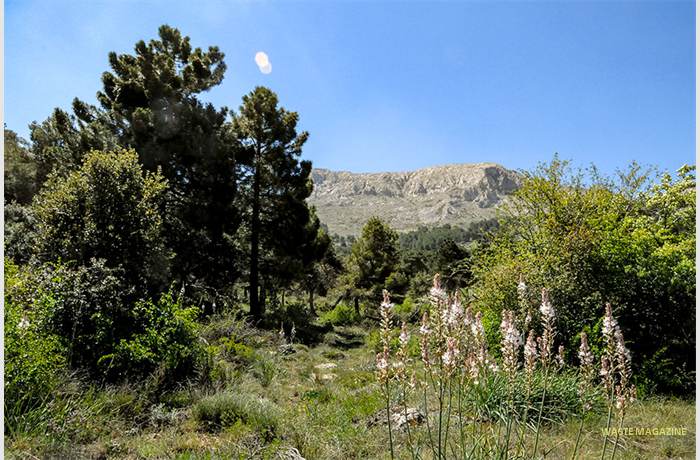 sierramaria12