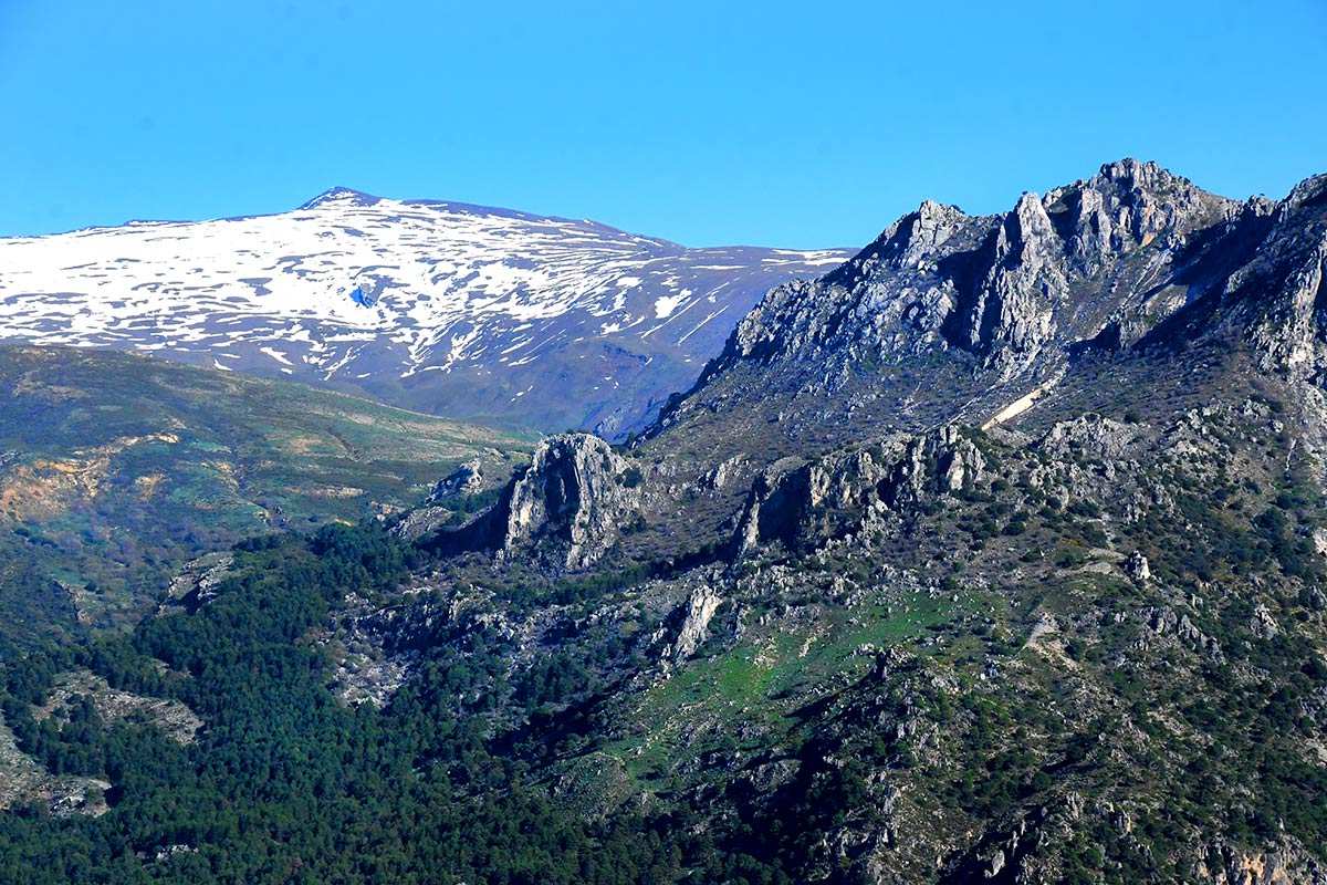 Veleta desde el hervidero