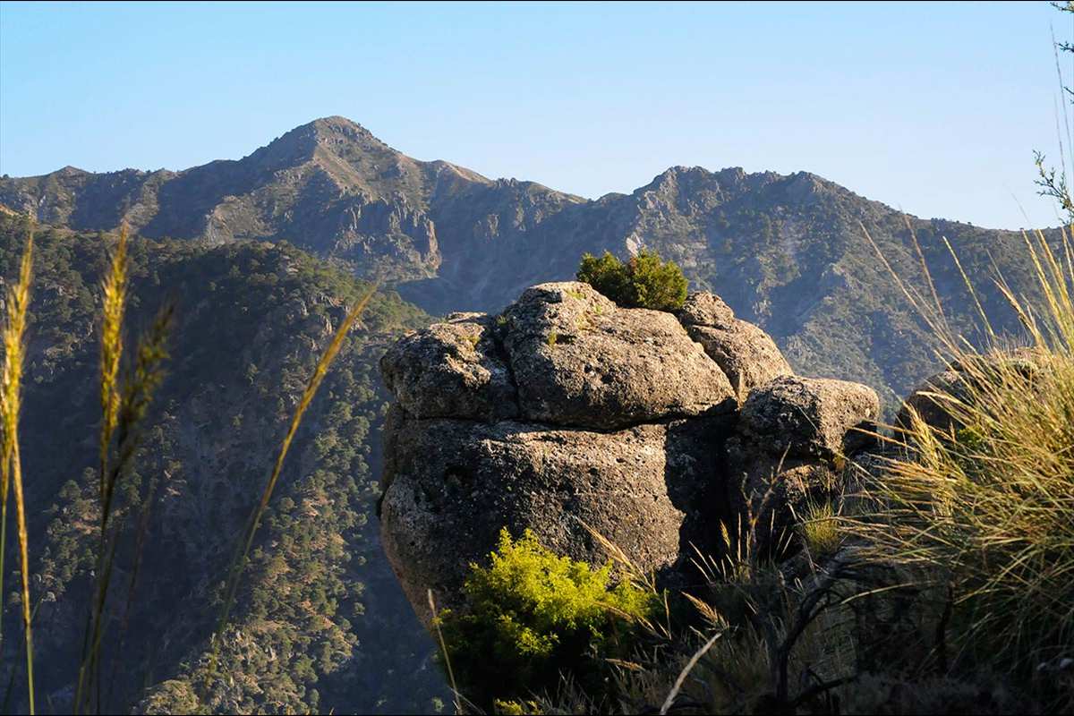 Hervidero-Espartera-Alayos-09