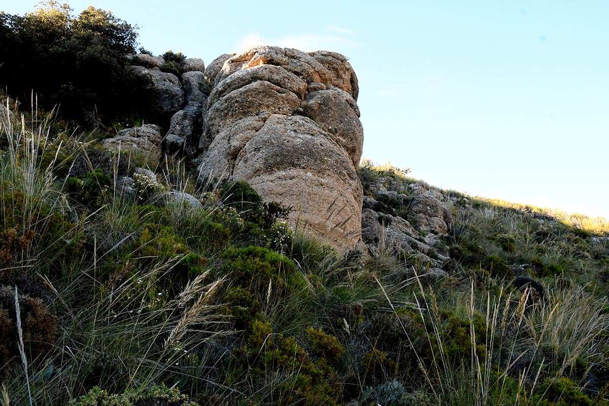 Hervidero-Espartera-Alayos-15