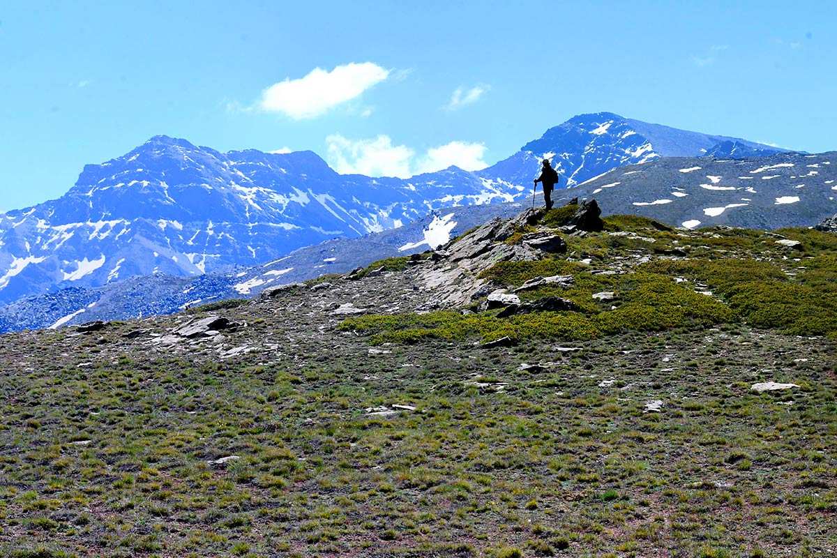 sierranevada-piornal-enebral-03
