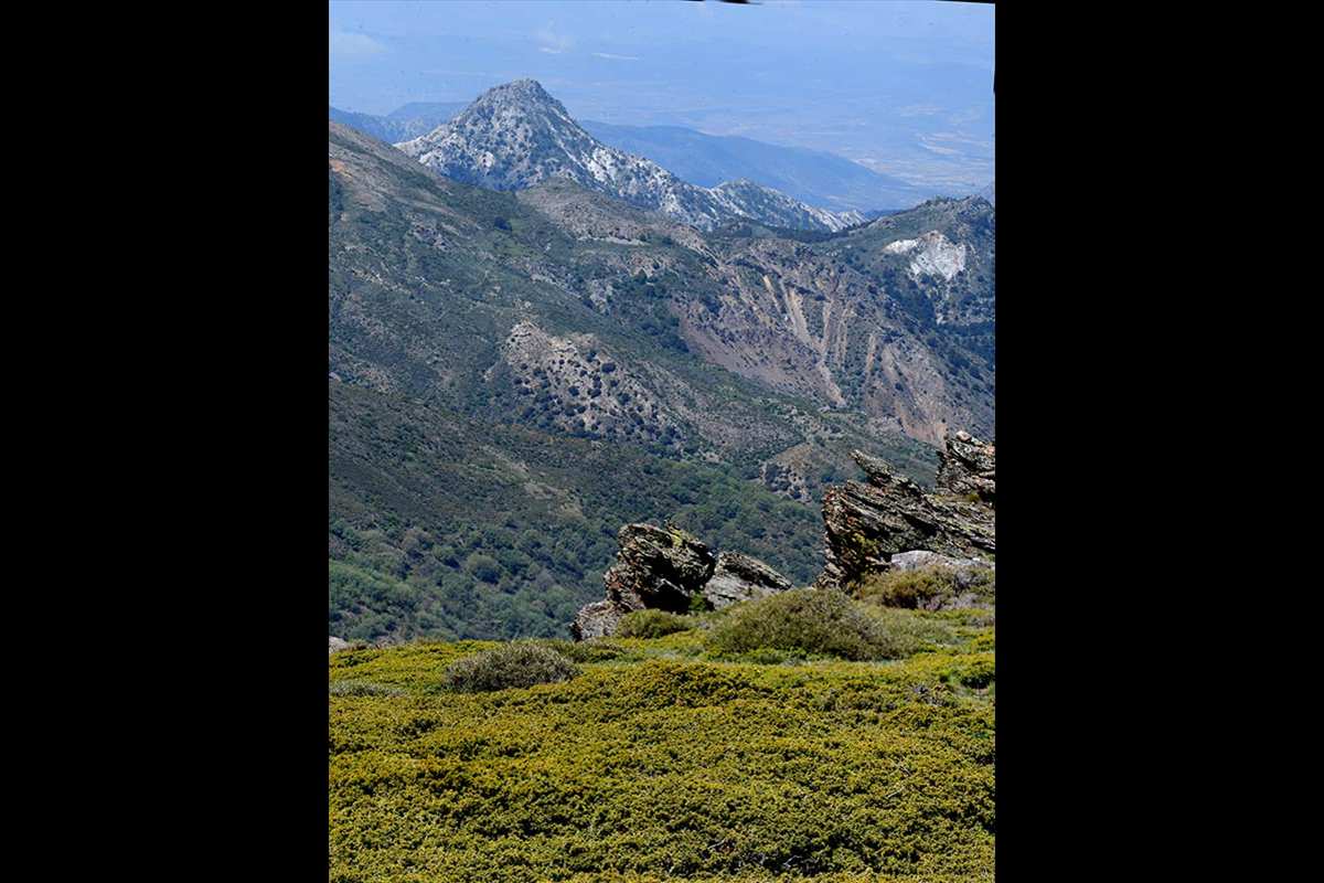 sierranevada-piornal-enebral-07
