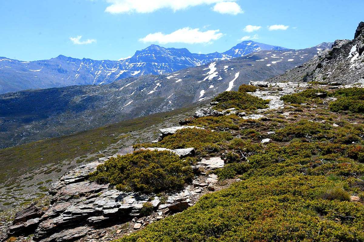 sierranevada-piornal-enebral-09
