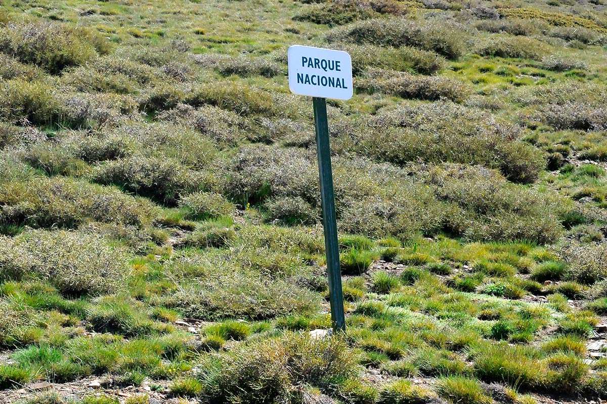 sierranevada-piornal-enebral-10