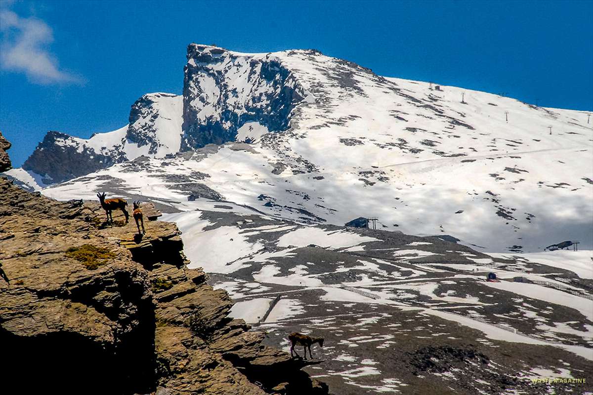 sierranevada01