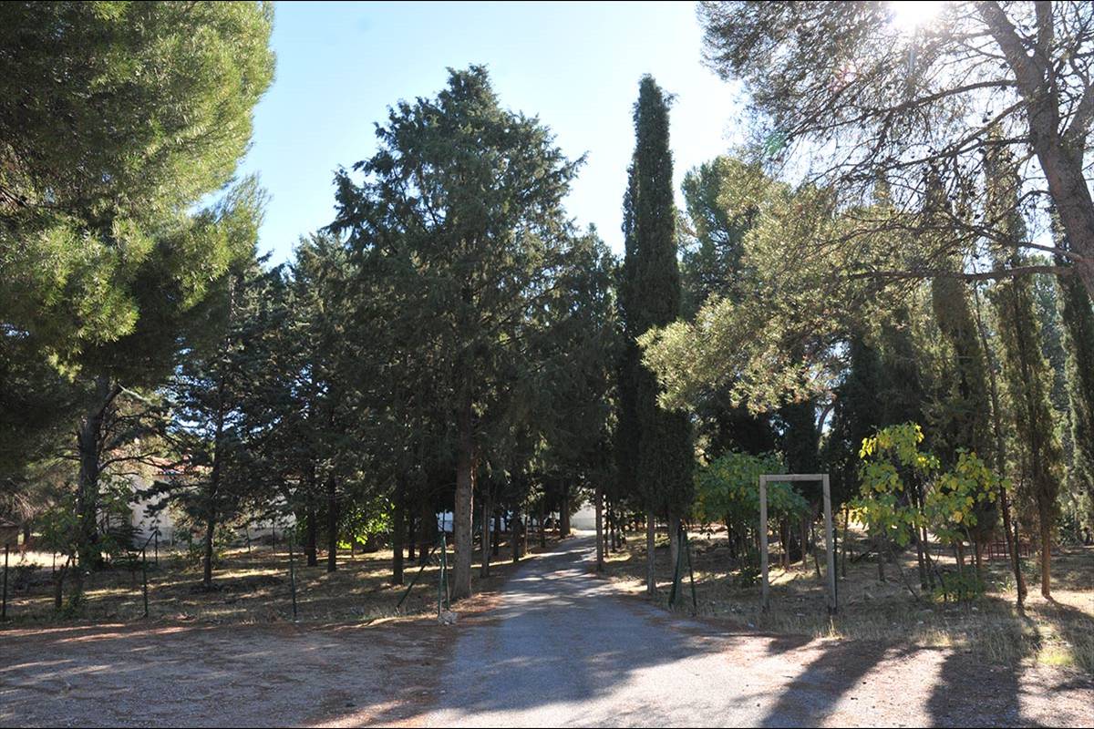 pinares-sotillo-009