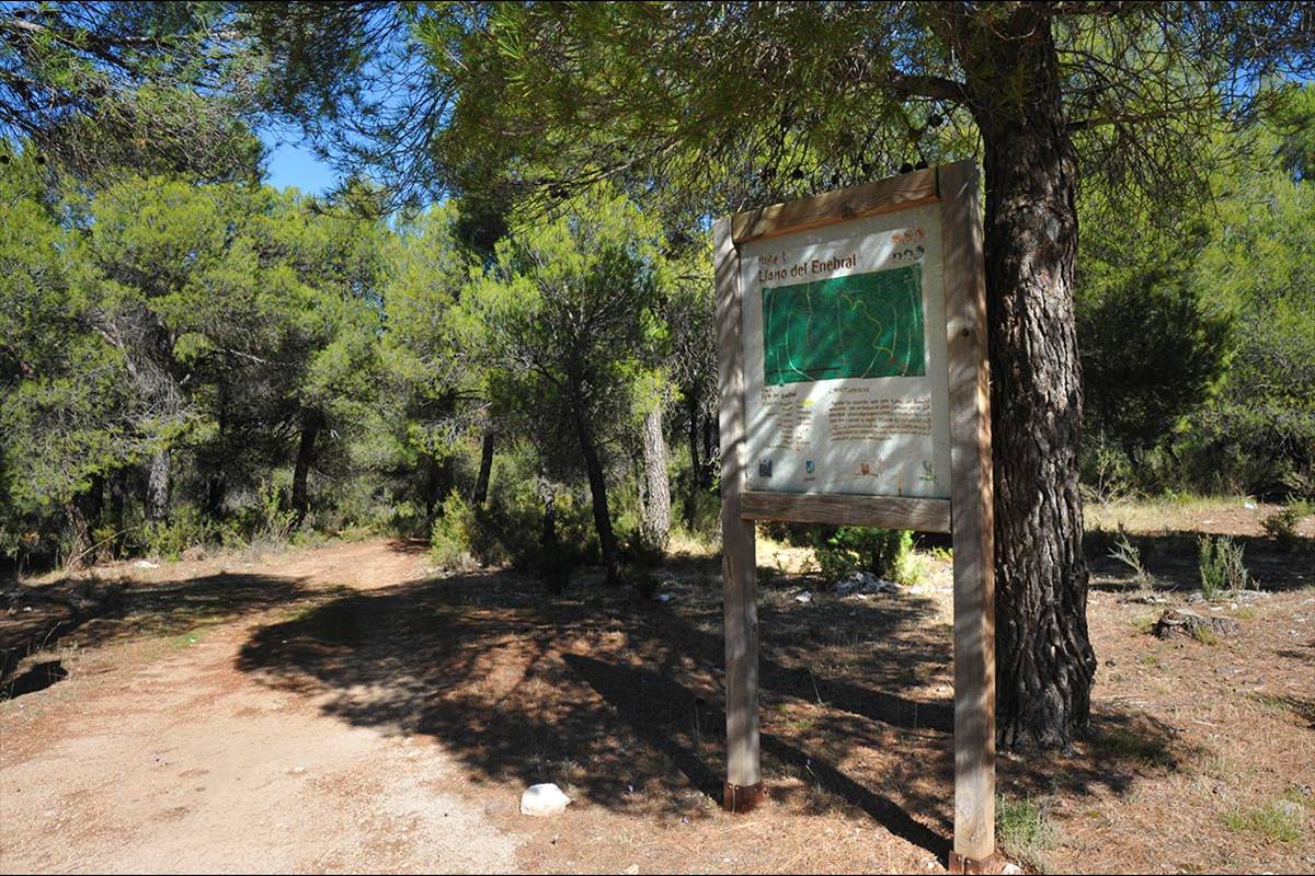 pinares-sotillo-011