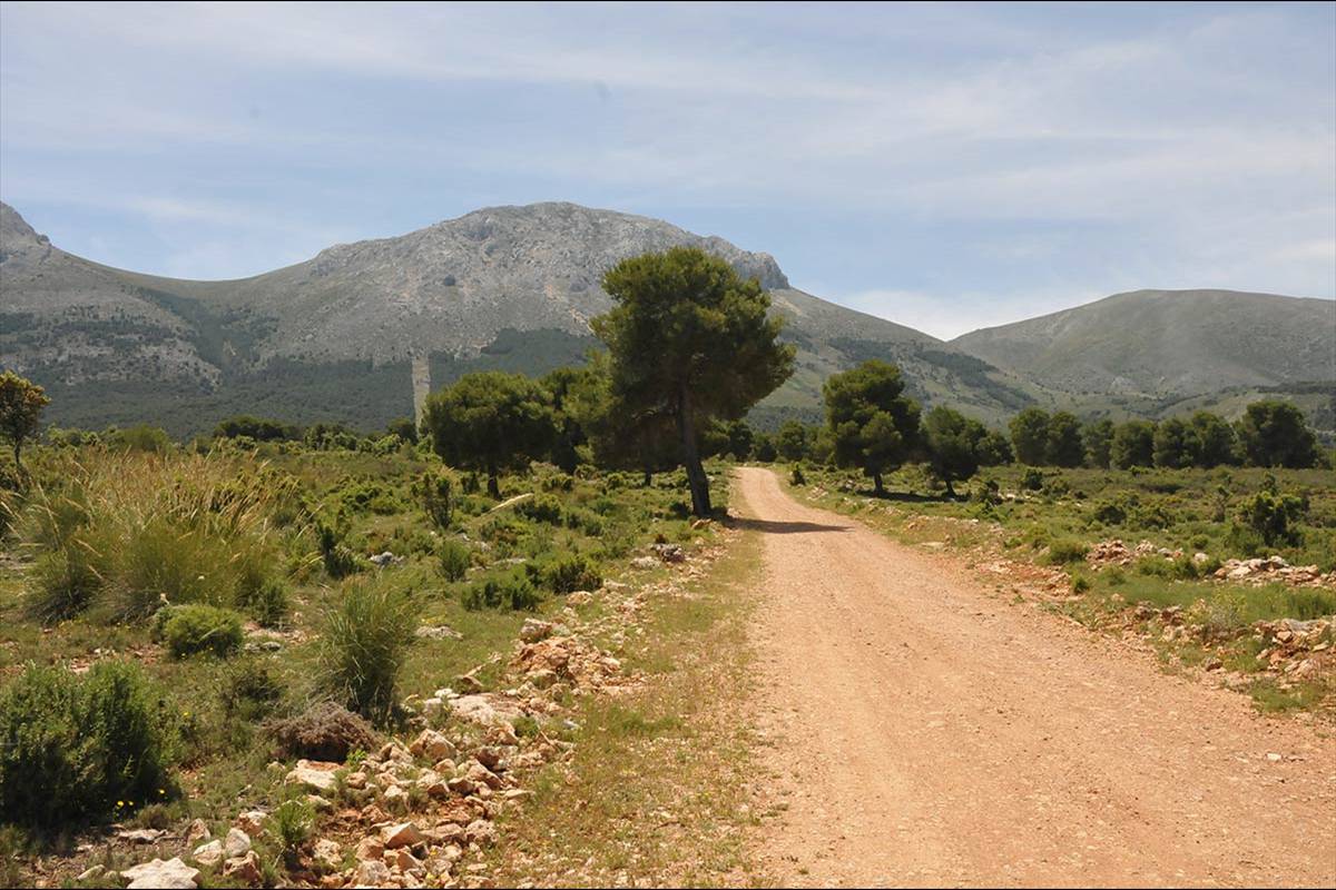 pinares-sotillo-019