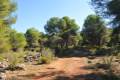 pinares-sotillo-008
