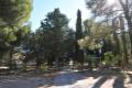 pinares-sotillo-009
