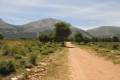 pinares-sotillo-019