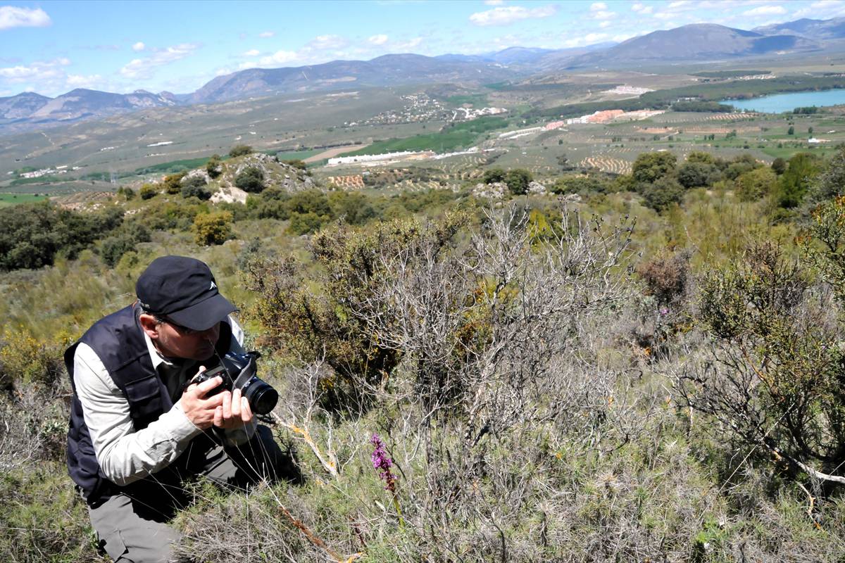 Torreon-albolote-sierra-elvira-06