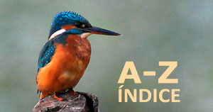 Guía de Aves, orden alfabético